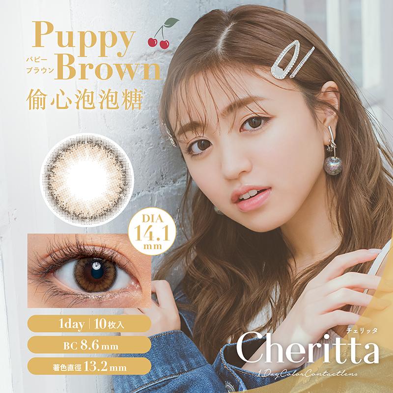 偷心泡泡糖 Puppy Brown